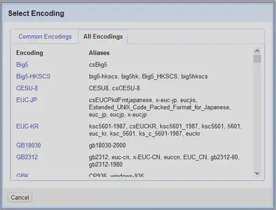 Bildschirmfoto der erweiterten Optionen für das Encoding.